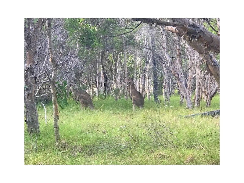 Agnes Water QLD 4677