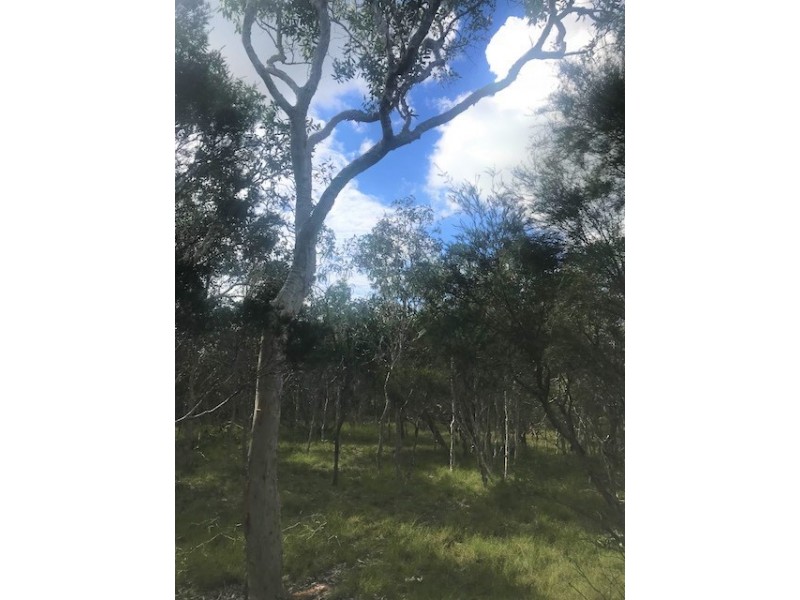 Agnes Water QLD 4677