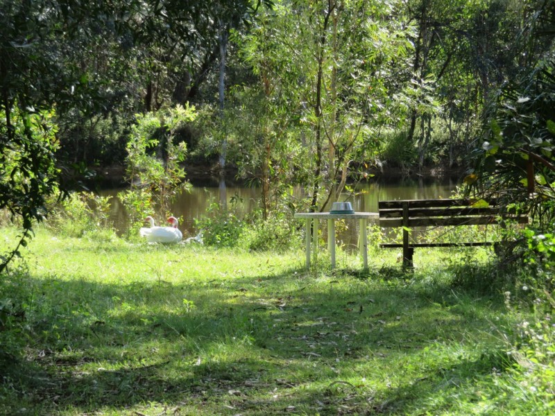 711 Capricornia Drive, Deepwater QLD 4674
