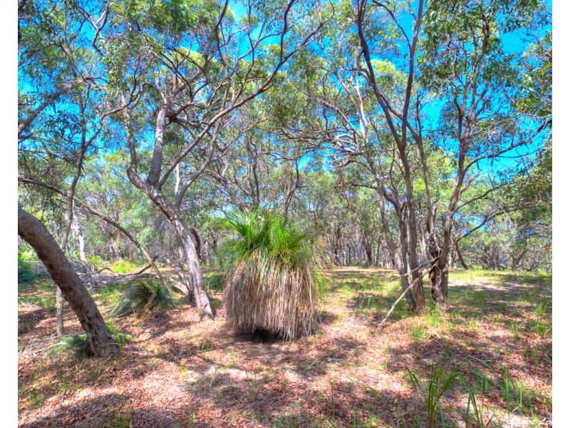 Agnes Water QLD 4677
