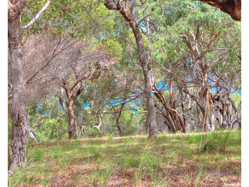 Agnes Water QLD 4677