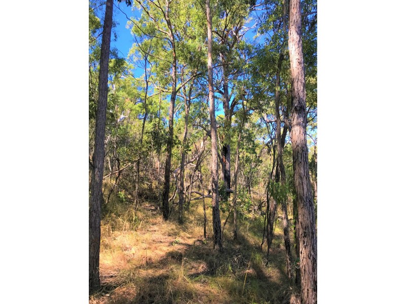 Agnes Water QLD 4677