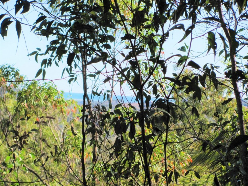 Agnes Water QLD 4677