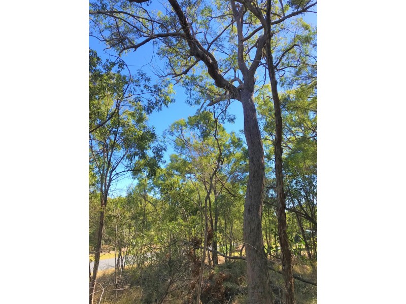 Agnes Water QLD 4677