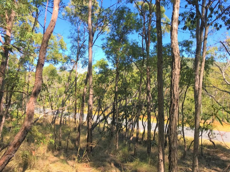Agnes Water QLD 4677