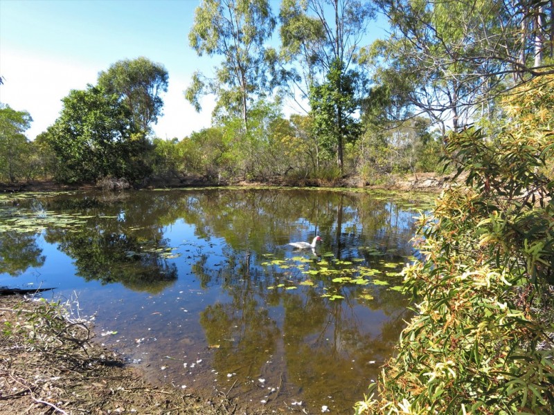 260 Neils Road,, Rosedale QLD 4674