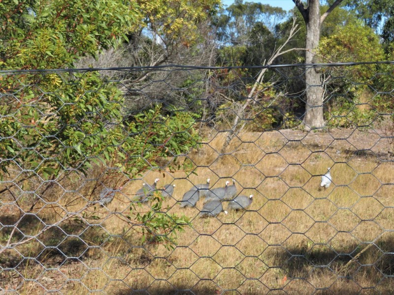 260 Neils Road,, Rosedale QLD 4674