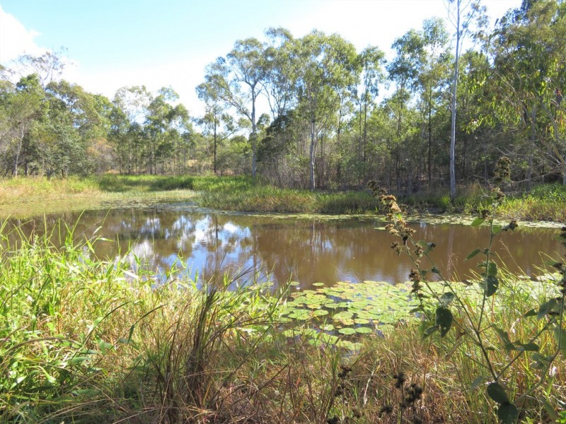 260 Neils Road,, Rosedale QLD 4674