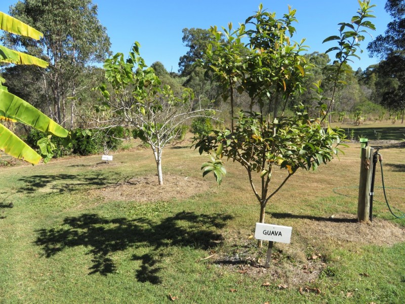 1079 Hills Road, Mount Maria QLD 4674