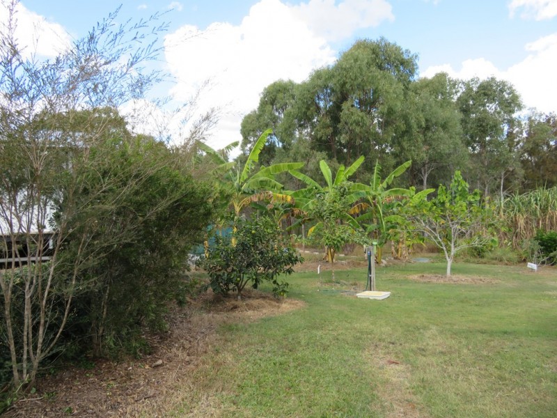 1079 Hills Road, Mount Maria QLD 4674