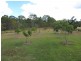 1079 Hills Road, Mount Maria QLD 4674
