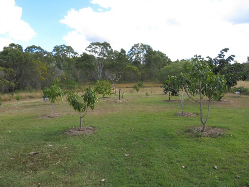 1079 Hills Road, Mount Maria QLD 4674