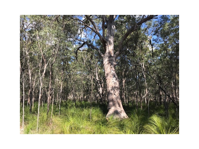Agnes Water QLD 4677