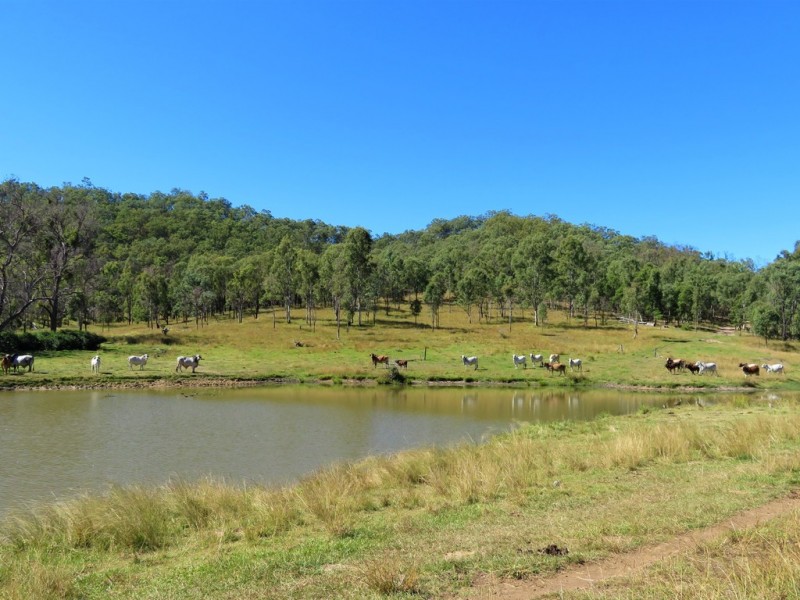 766 Bindawalla Road,, Calliope QLD 4680