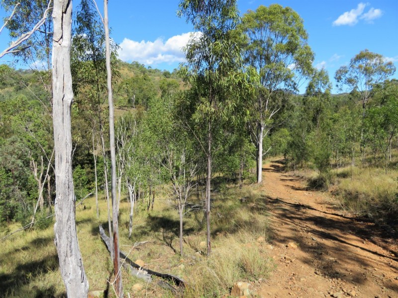 766 Bindawalla Road,, Calliope QLD 4680