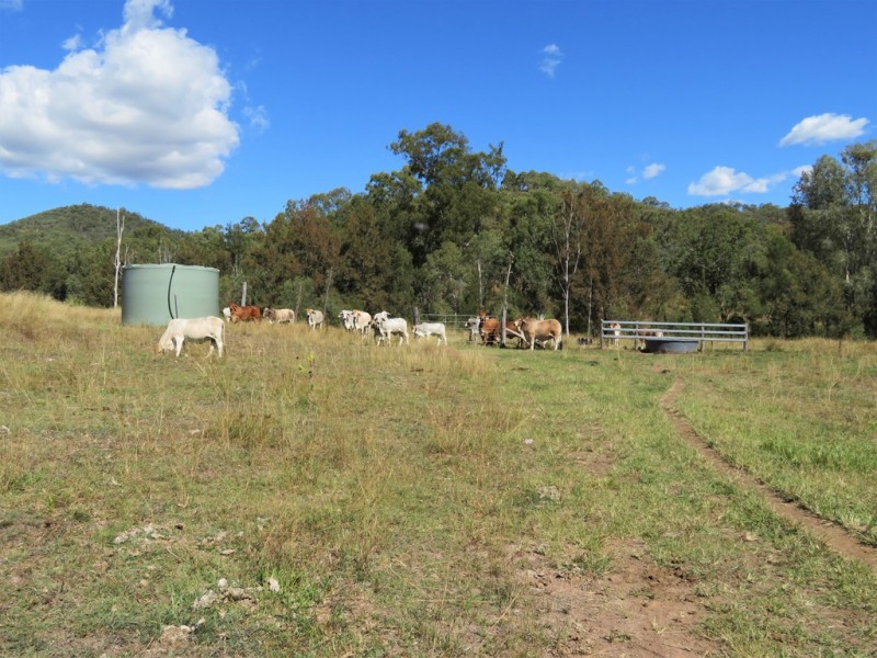 766 Bindawalla Road,, Calliope QLD 4680