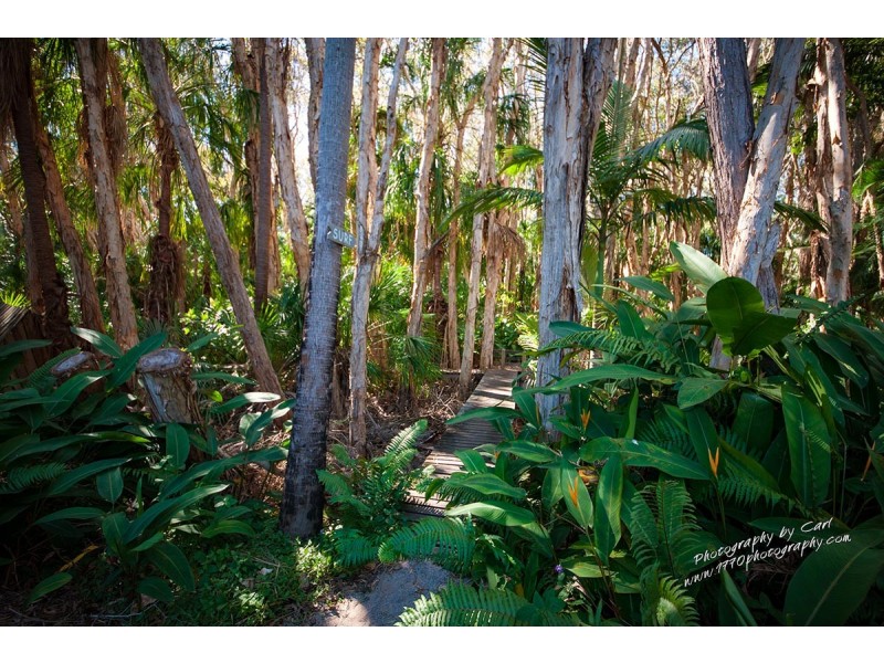 12 / 52 Captain Cook Drive, Agnes Water QLD 4677