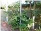 8/52 Captain Cook Drive, Agnes Water QLD 4677