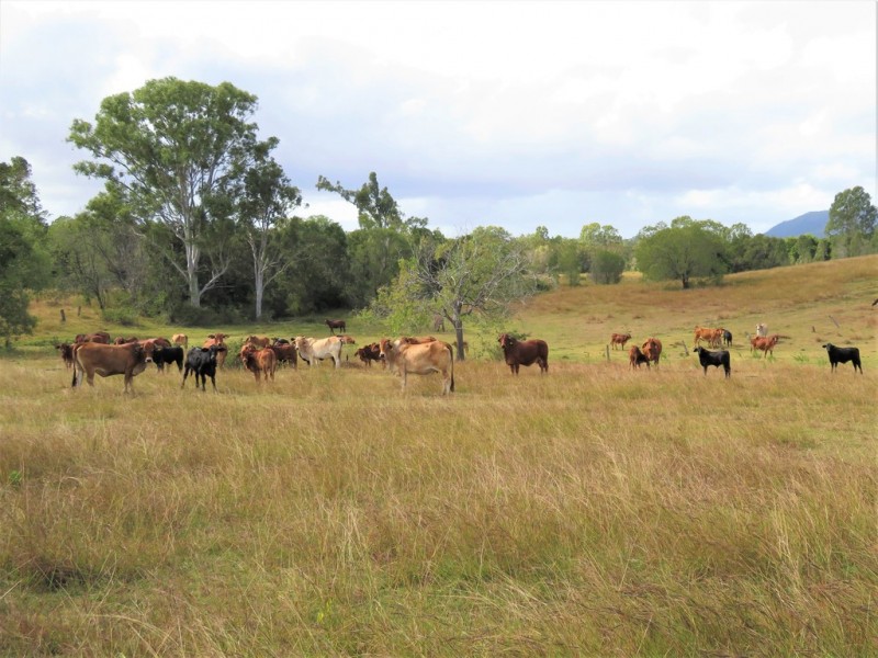 1165 Blackman Gap Road, Colosseum QLD 4677