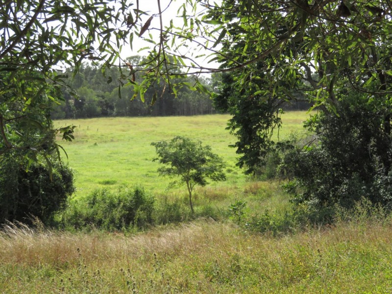 1165 Blackman Gap Road, Colosseum QLD 4677