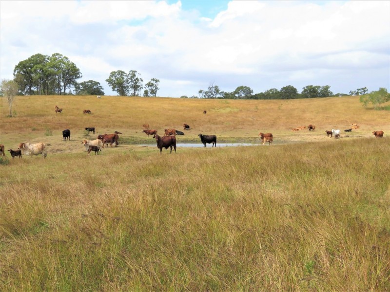 1165 Blackman Gap Road, Colosseum QLD 4677