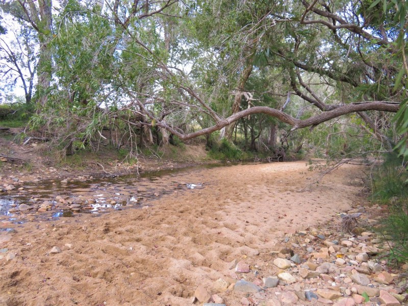 1165 Blackman Gap Road, Colosseum QLD 4677