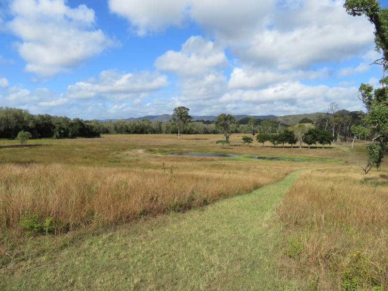 1165 Blackman Gap Road, Colosseum QLD 4677