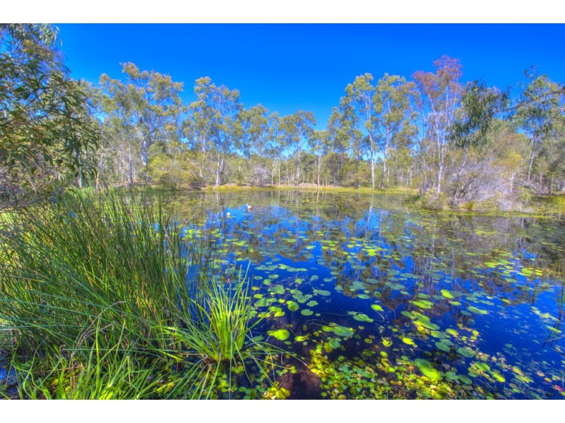75 Bouch Court, Agnes Water QLD 4677