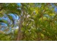 75 Bouch Court, Agnes Water QLD 4677