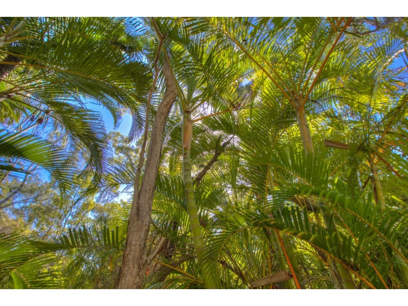 75 Bouch Court, Agnes Water QLD 4677