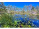 75 Bouch Court, Agnes Water QLD 4677