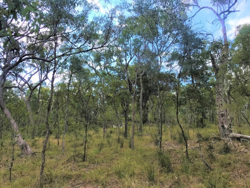Captain Creek QLD 4677