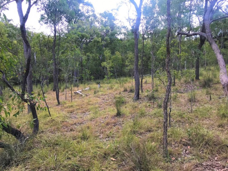 Captain Creek QLD 4677