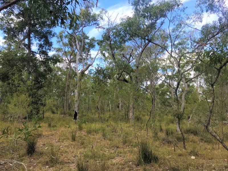 Captain Creek QLD 4677