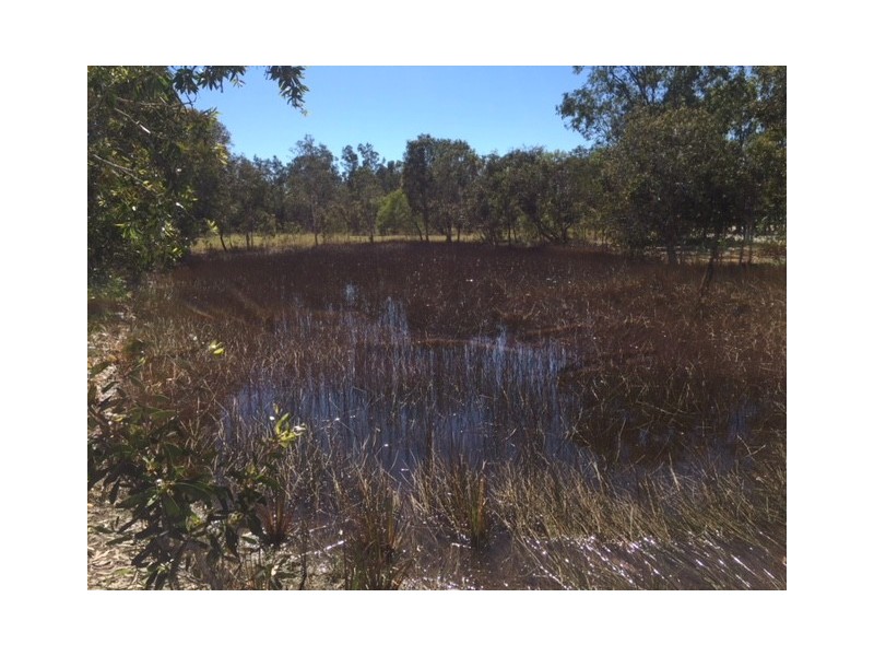 223 Jakeman Drive, Agnes Water QLD 4677