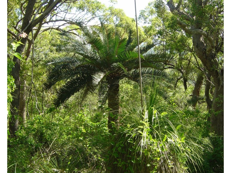 Lot 66 Mcghee Crescent, Agnes Water QLD 4677