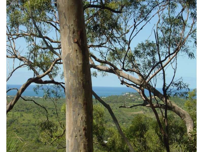 Lot 66 Mcghee Crescent, Agnes Water QLD 4677