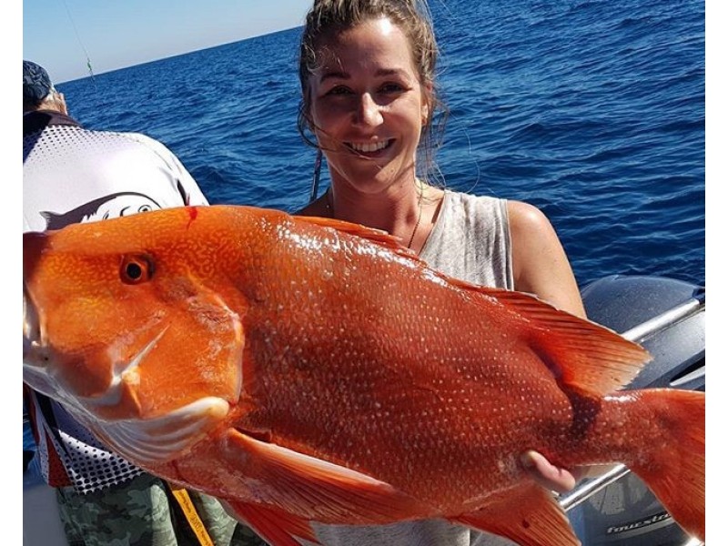 1 Captain Cook Drive, Agnes Water QLD 4677