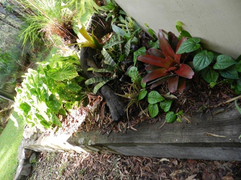 170 Allingham Way, Agnes Water QLD 4677