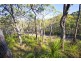 lot 419 Anderson Way, Agnes Water QLD 4677
