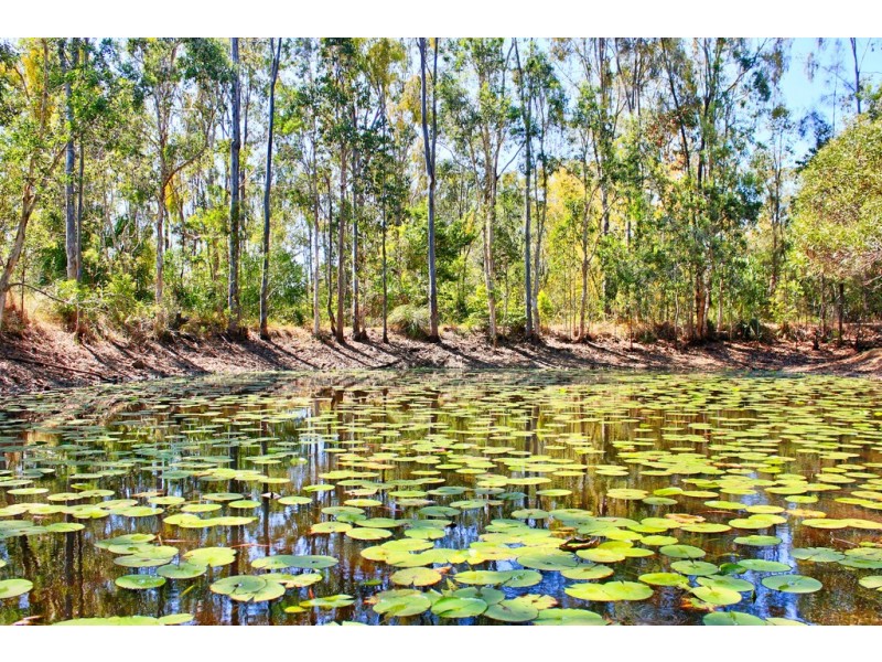 251 Innamincka Way, Agnes Water QLD 4677