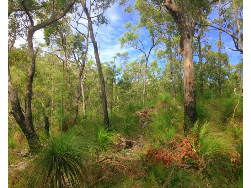 Captain Creek QLD 4677
