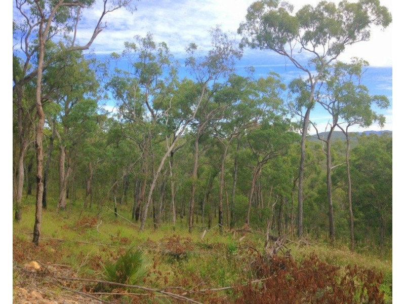 Captain Creek QLD 4677