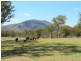 Lot 80 Kiora Road, Colosseum QLD 4677