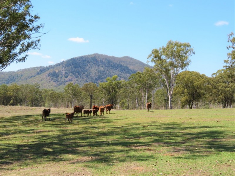 Lot 80 Kiora Road, Colosseum QLD 4677