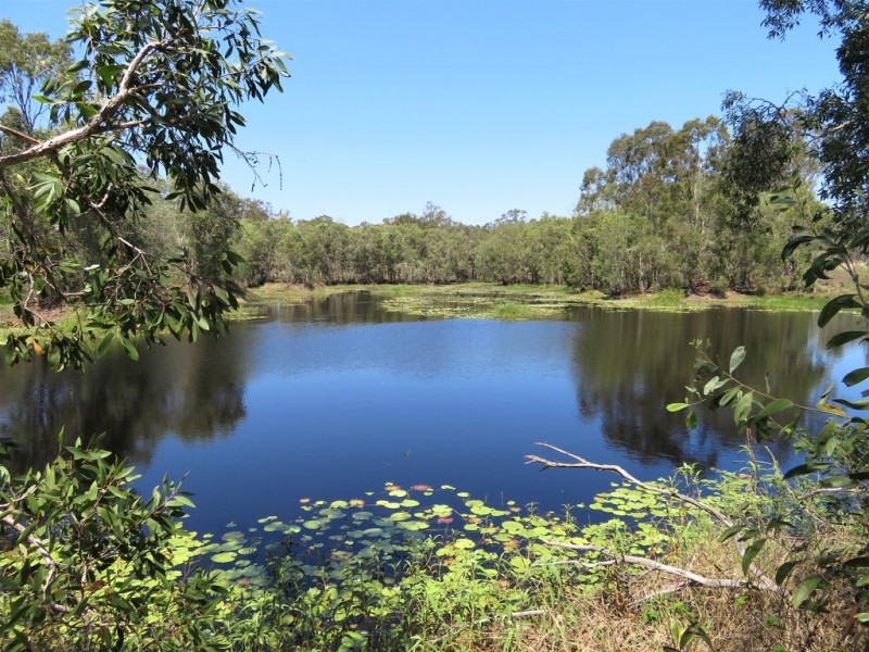 Lot 80 Kiora Road, Colosseum QLD 4677