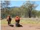 Lot 80 Kiora Road, Colosseum QLD 4677