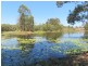 Lot 80 Kiora Road, Colosseum QLD 4677