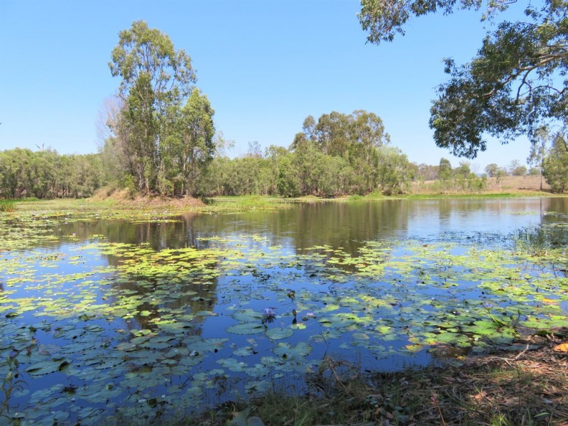 Lot 80 Kiora Road, Colosseum QLD 4677