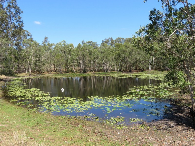 Lot 80 Kiora Road, Colosseum QLD 4677